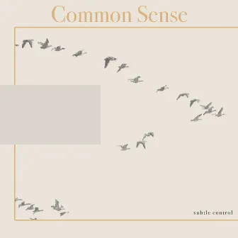 Common Sense (360 Binaural Ver.) by Subtle Control