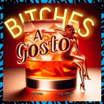 Bitches a Gosto by Dj Vinny ZL