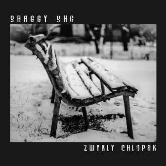 ZWYKŁY CHŁOPAK by SHAGGY SHG