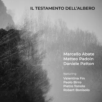 Il testamento dell'albero by Matteo Padoin