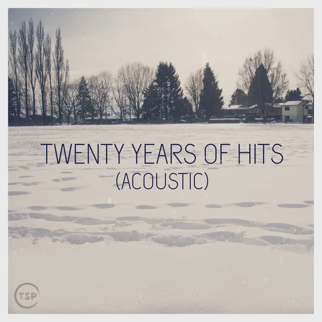 Twenty Years of Hits - Acoustic