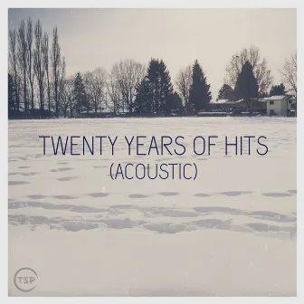 Twenty Years of Hits (Acoustic) by Randy C