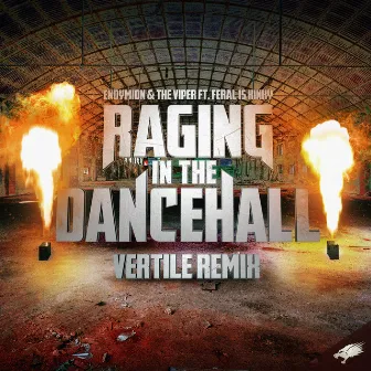 Raging in the Dancehall (Vertile Remix) by Endymion