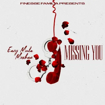 Missing You by Eazy Mula