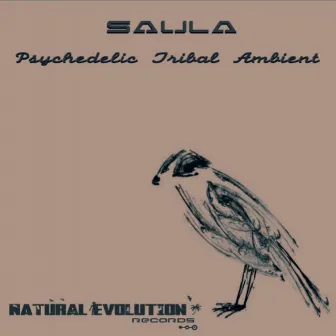 Psychedelic Tribal Ambient by Saula