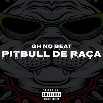 PITBULL DE RAÇA by Gh no Beat