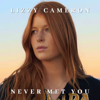 Never Met You by Lizzy Cameron