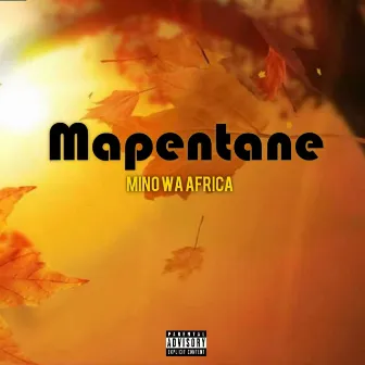 Mino wa Africa by Mapentane