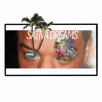 Sativa Dreams by Maze