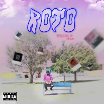 Roto by Frann G