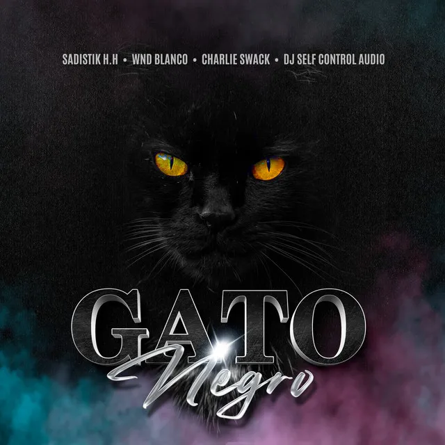 Gato Negro