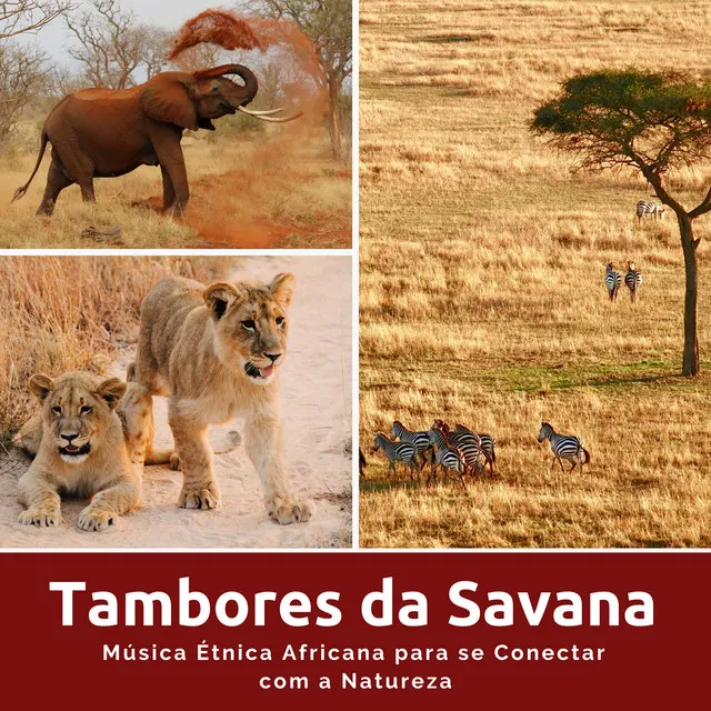 Tambores da Savana - Música Étnica Africana para se Conectar com a Natureza, Meditação Mindfulness