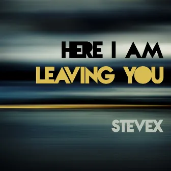 Here I Am / Leaving You by Stevex