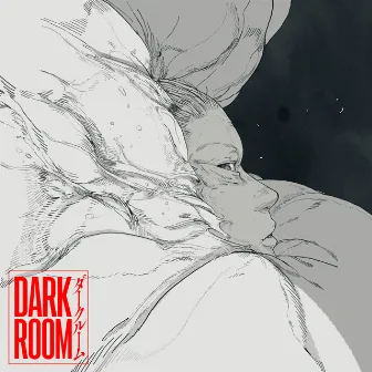 Darkroom by Dios