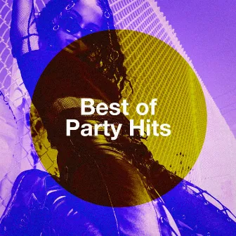 Best of Party Hits by Unknown Artist