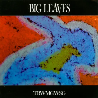 Trwmgwsg by big leaves