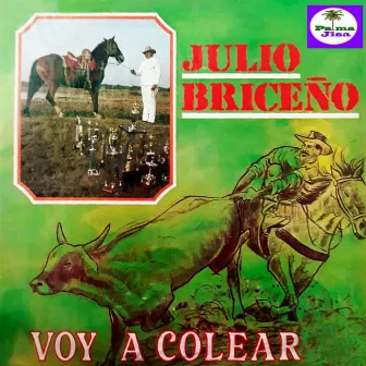 Voy a Colear by Julio Briceño