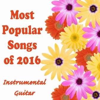 Most Popular Songs of 2016: Instrumental Guitar by Steve Petrunak