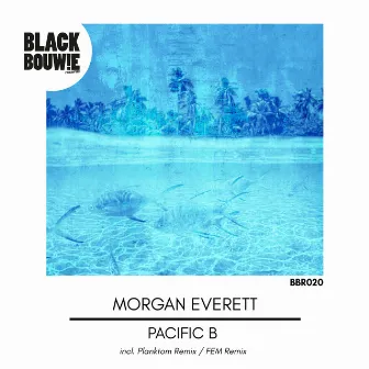 Pacific B by Morgan Everett