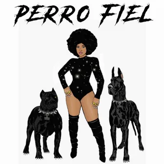 Perro Fiel by Kmercial