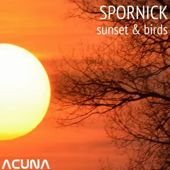 Sunset / Birds by Spornick