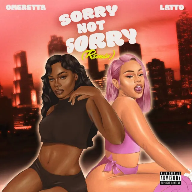 Sorry Not Sorry - Remix