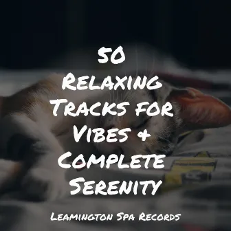 50 Relaxing Tracks for Vibes & Complete Serenity by Zarobi