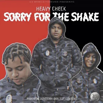 Sorry For The Shake by Heavy Check