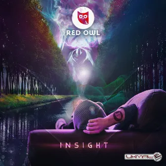 Insight by Red Owl