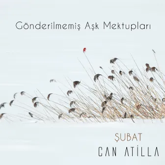 Gönderilmemiş Aşk Mektupları / Şubat (Akustik Versiyon) by Can Atilla