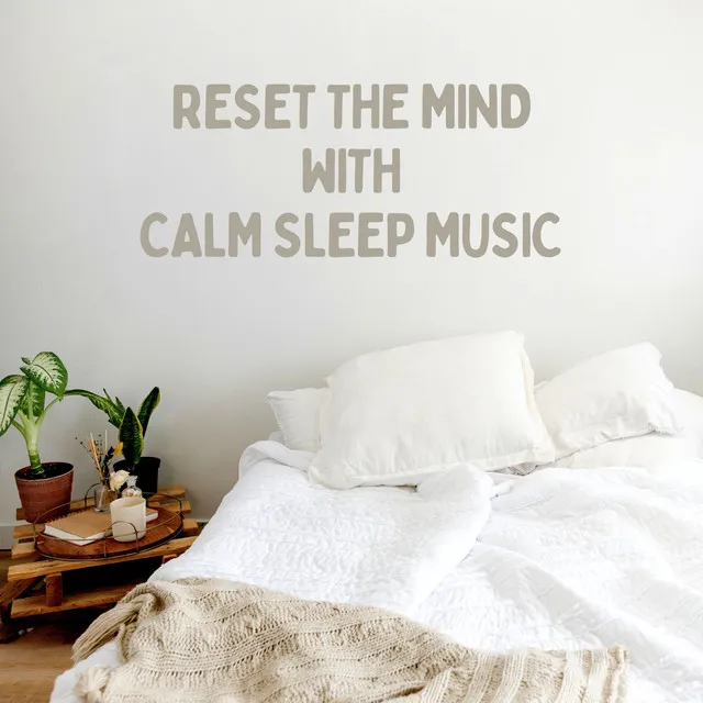 Reset the Mind with Calm Sleep Music