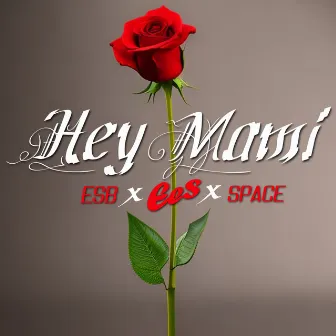 Hey Mami (Remix) by Space