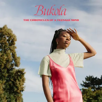 The Chronicles of a Teenage Mind by Bukola