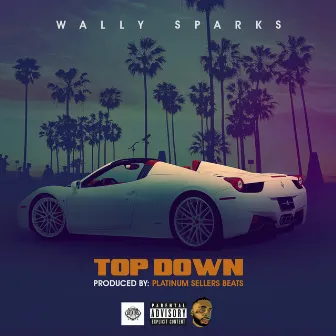 Top Down by Wally Sparks