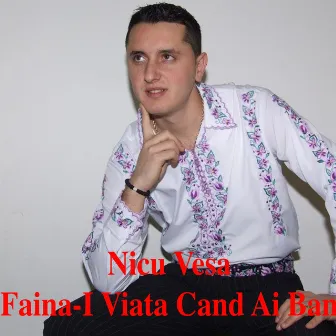 Faina-I Viata Cand Ai Ban by Nicu Vesa