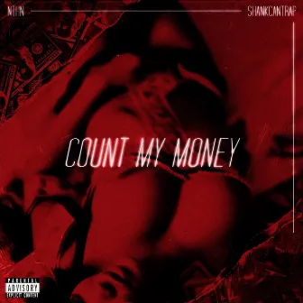 Count My Money by Nthn