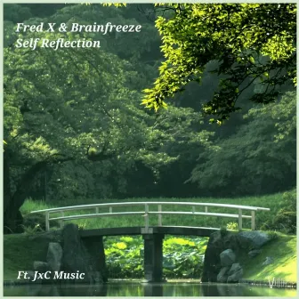 Self reflection by Brainfreeze Music