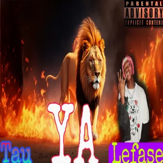 Tau ya lefase by Juicy Kay Dee