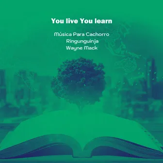 You live You learn by Música Para Cachorro