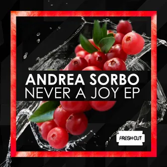 Never a joy by Andrea Sorbo