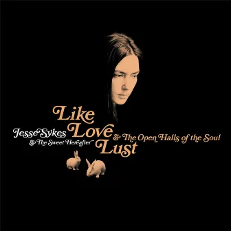 Like Love Lust & The Open Halls of the Soul by Jesse Sykes & The Sweet Hereafter