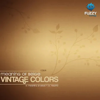 Meaning of Beige EP by Vintage Colors