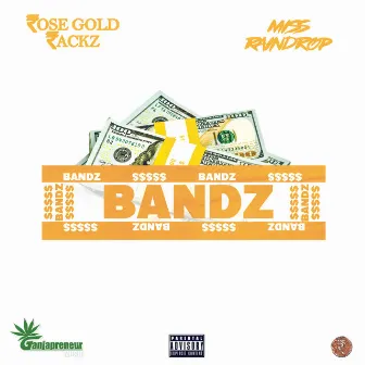 Bandz by ROSE GOLD RACKZ