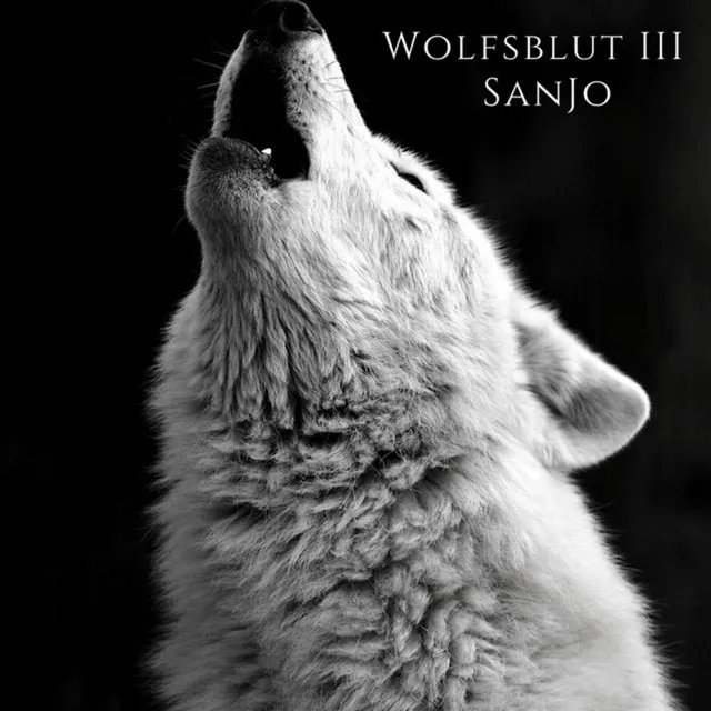 Wolfsblut 3