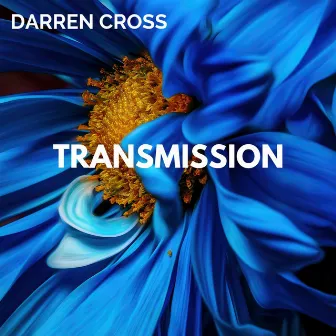 Transmission by 