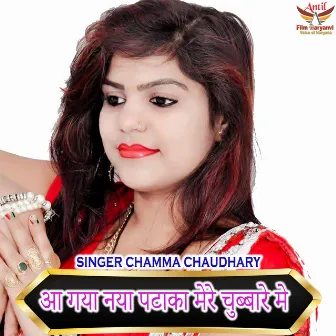 Sasu Mane Nyari Karde by Chamma Tiwari