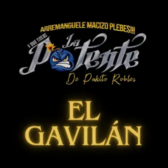 El Gavilán by Banda la Potente