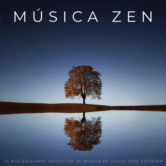 Música Zen: La Más Relajante Selección De Música De Lluvia Para Estudiar