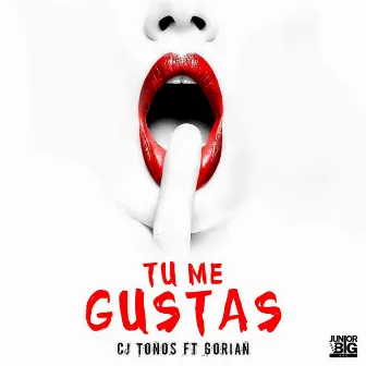 Tu Me Gustas (feat. Gorian) by Cj Tonos