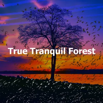 True Tranquil Forest by Winds of Serenity